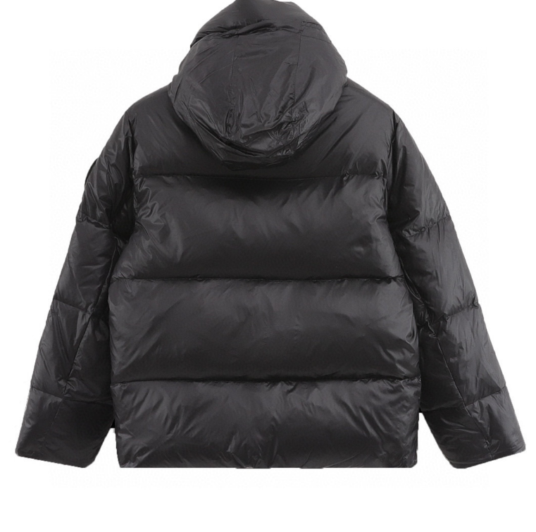 Can*a G00se Down Jacket 2024