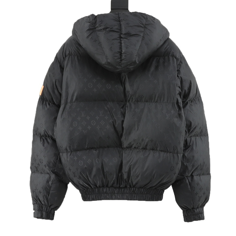 L0vis Vvtt0n ski down jacket 2024